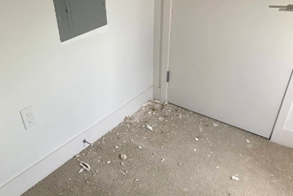 Baseboard Installation